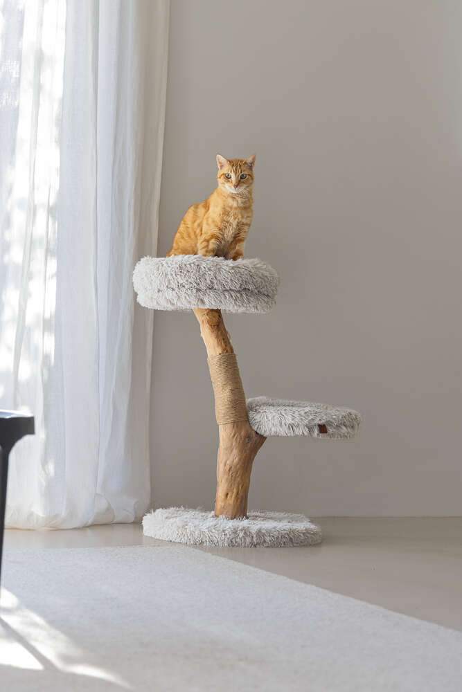 Designed by Lotte Kratzbaum Zora